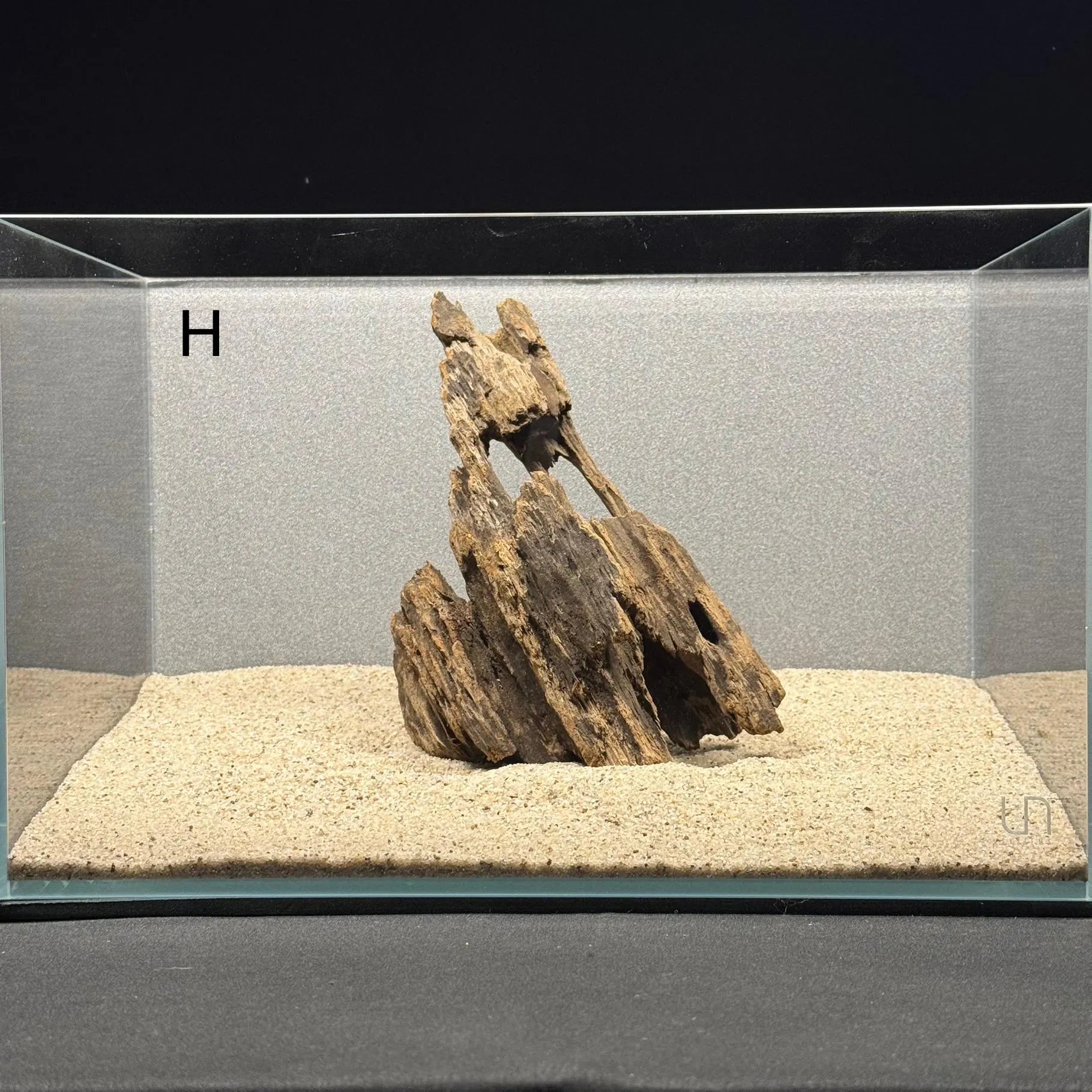 Medium Nano Dragon Driftwood | Aquarium Aquascape | Aquarium Design | Wood for Aquarium | Fish Tank | Natural Wood | Hardscape | Shrimp Wood