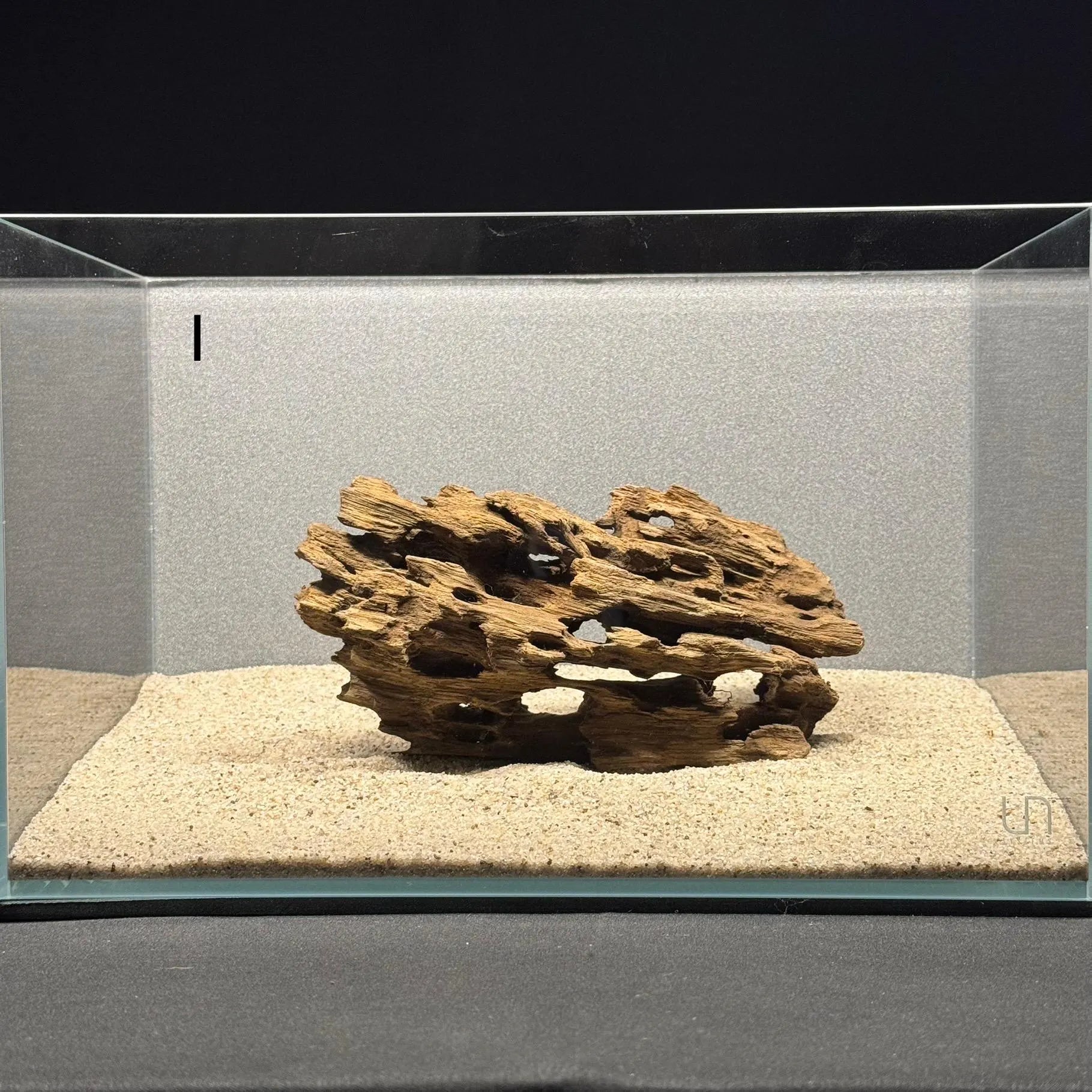 Medium Nano Dragon Driftwood | Aquarium Aquascape | Aquarium Design | Wood for Aquarium | Fish Tank | Natural Wood | Hardscape | Shrimp Wood