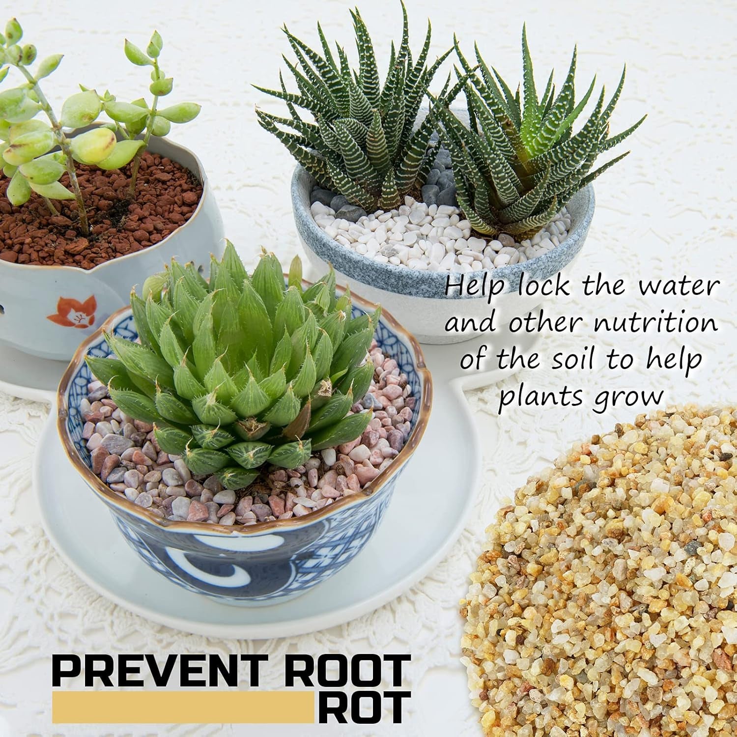 2 lbs Horticultural Succulent and Bonsai Potting Mix with Lava Rocks and Cactus Soil Amendment