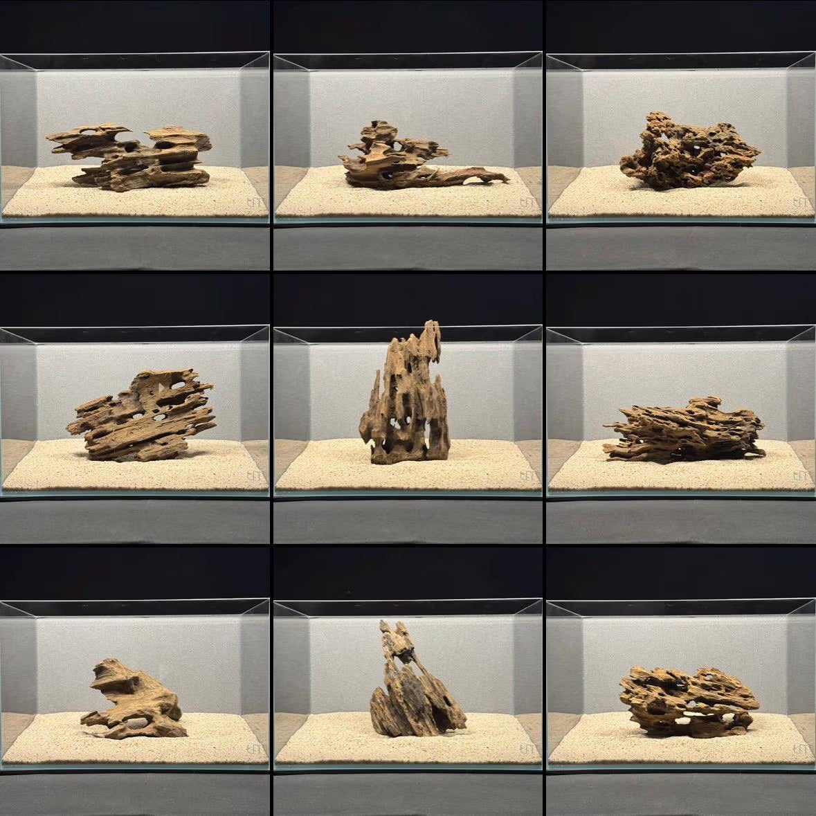 Medium Nano Dragon Driftwood | Aquarium Aquascape | Aquarium Design | Wood for Aquarium | Fish Tank | Natural Wood | Hardscape | Shrimp Wood