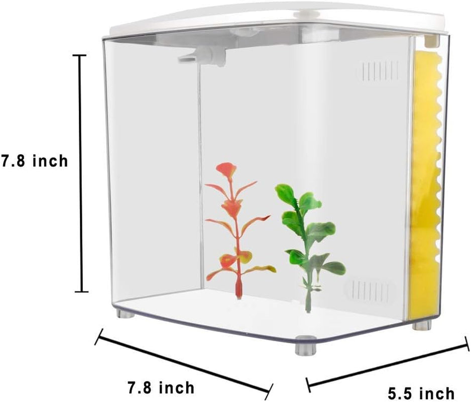 1.2-Gallon Betta Aquarium Starter Kit with LED Lighting and Filter Pump