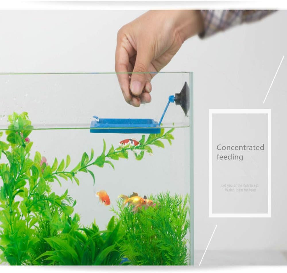 Two-Piece Floating Fish Feeding Ring with Suction Cup – Safe Blue Feeder for Aquariums, Suitable for Guppy, Betta, Goldfish, and More