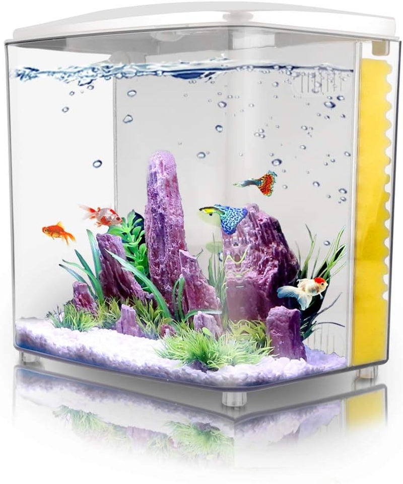 1.2-Gallon Betta Aquarium Starter Kit with LED Lighting and Filter Pump