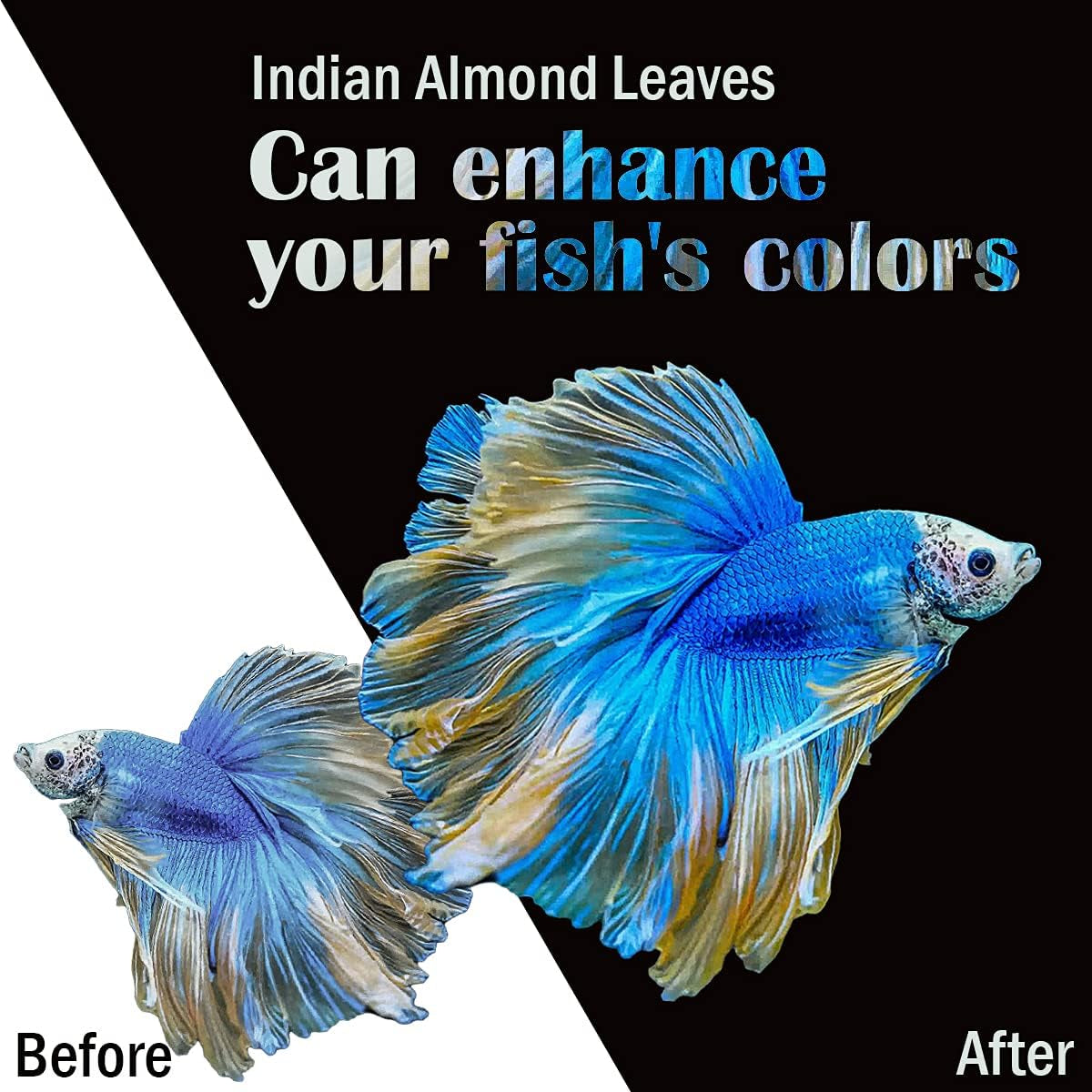 Premium Indian Almond Leaves - Catappa Leaves for Aquatic Health and pH Balance in Aquariums. 50g Pack (6-9" Size, 20-25 Leaves)