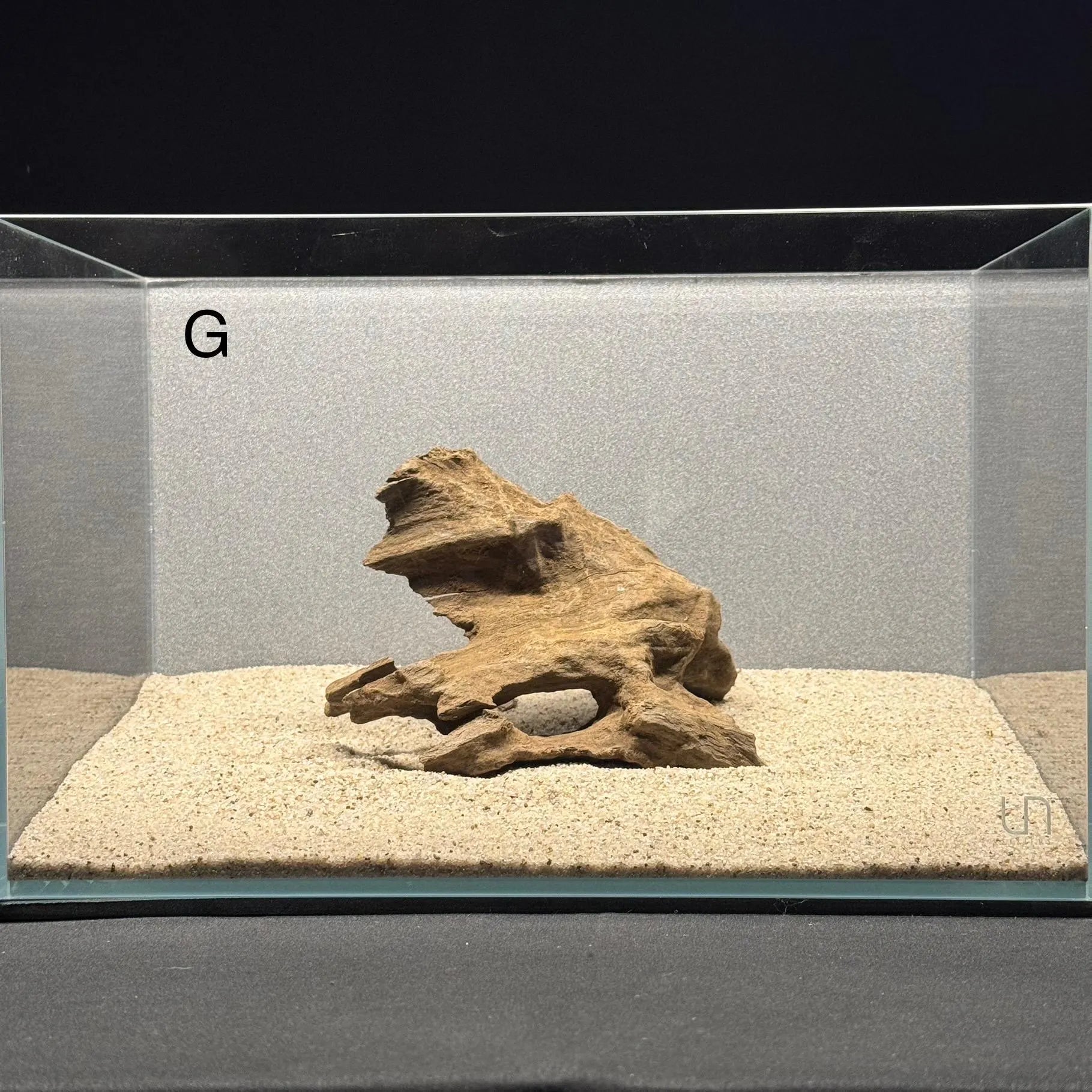 Medium Nano Dragon Driftwood | Aquarium Aquascape | Aquarium Design | Wood for Aquarium | Fish Tank | Natural Wood | Hardscape | Shrimp Wood