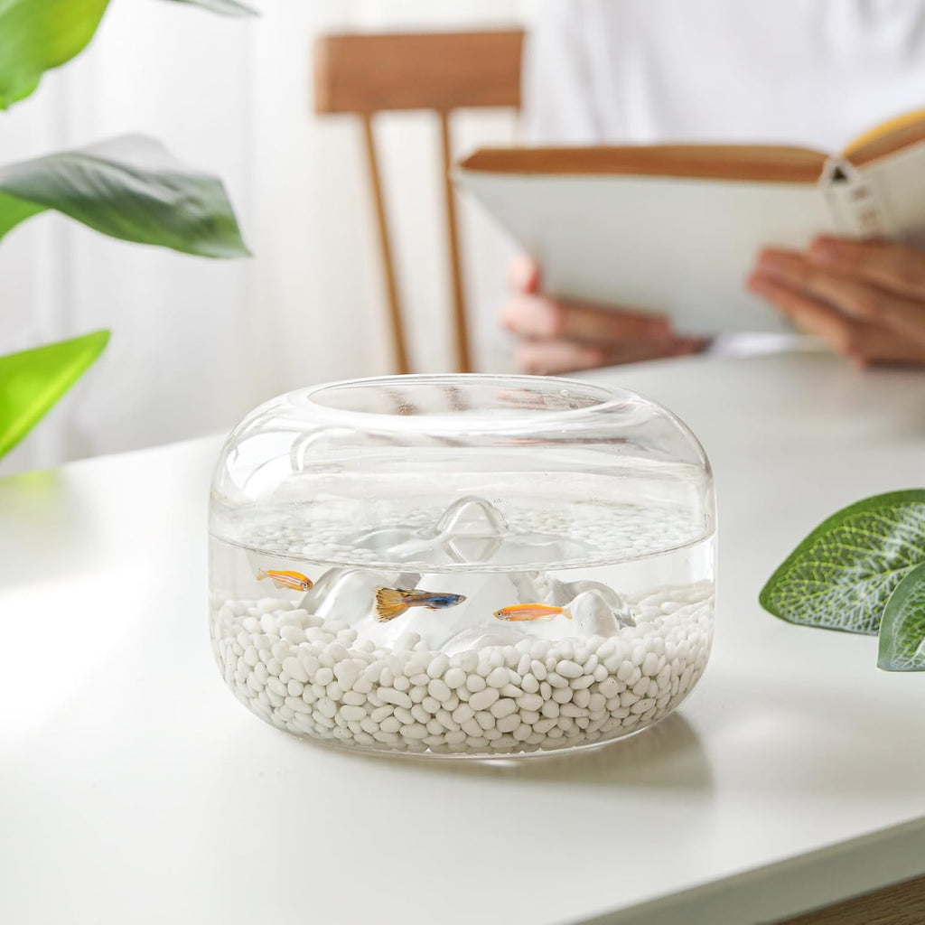 Natural Tumbled White Gravel Stones - 1 LB Irregular Shaped Pebbles for Potted Plants, Bonsai, Vases, and Aquarium Decoration