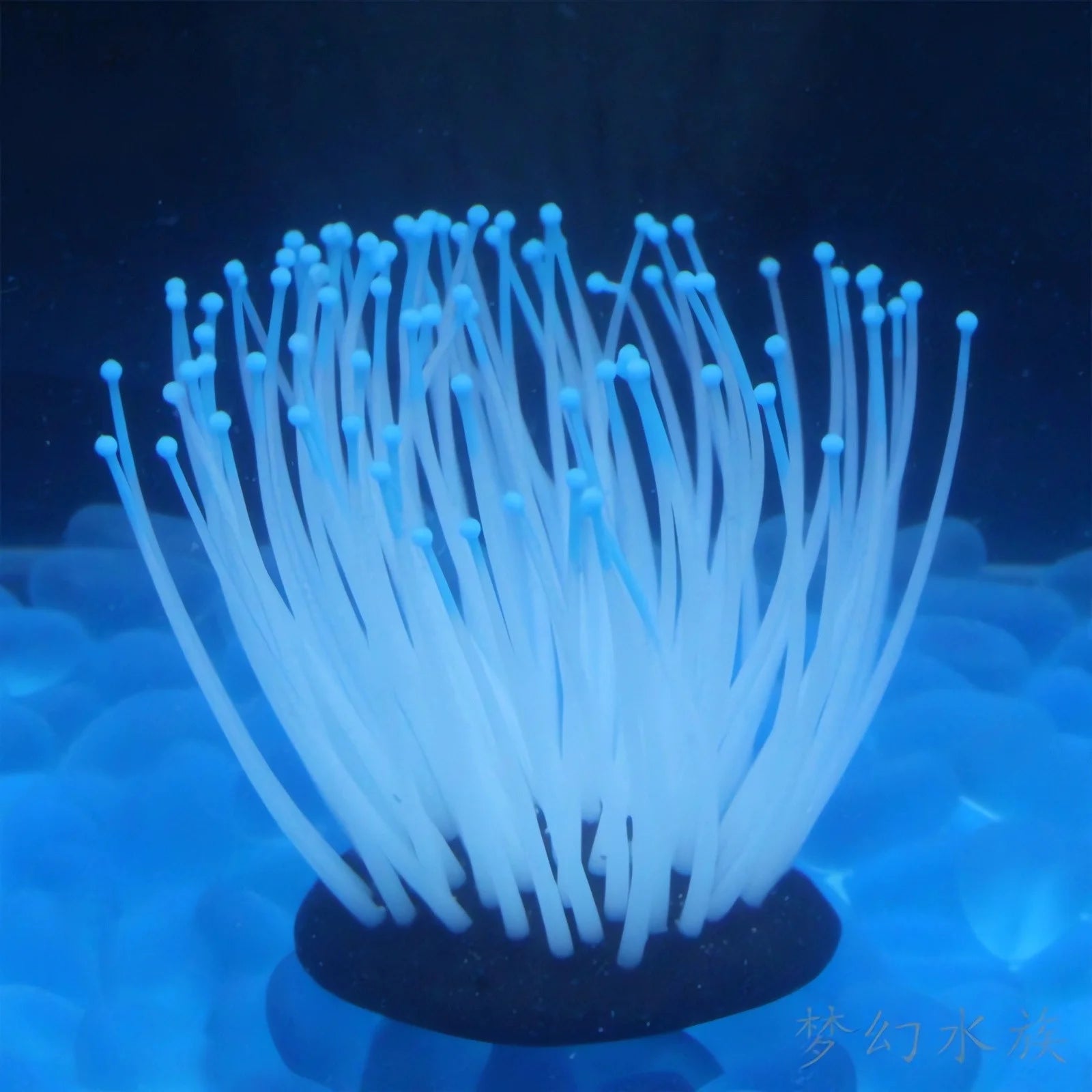 Simulation Silicone Luminous Sea Anemone Ornament Artificial Coral Plant Simulation Sea Anemone for Aquarium Fish Decoration with Suction Cup(Blue)