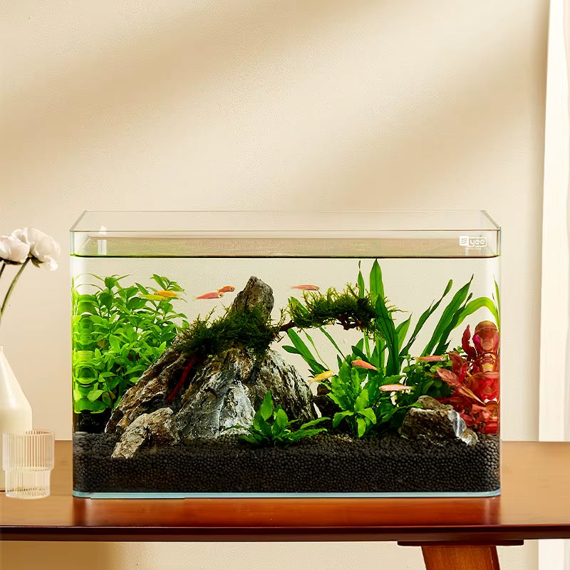 Yee Factory Wholesale 5 in 1 Low Iron Glass Aquarium Ultra White Clear Glass Curved Fish Tank 10 Gallon Small Fish Tank