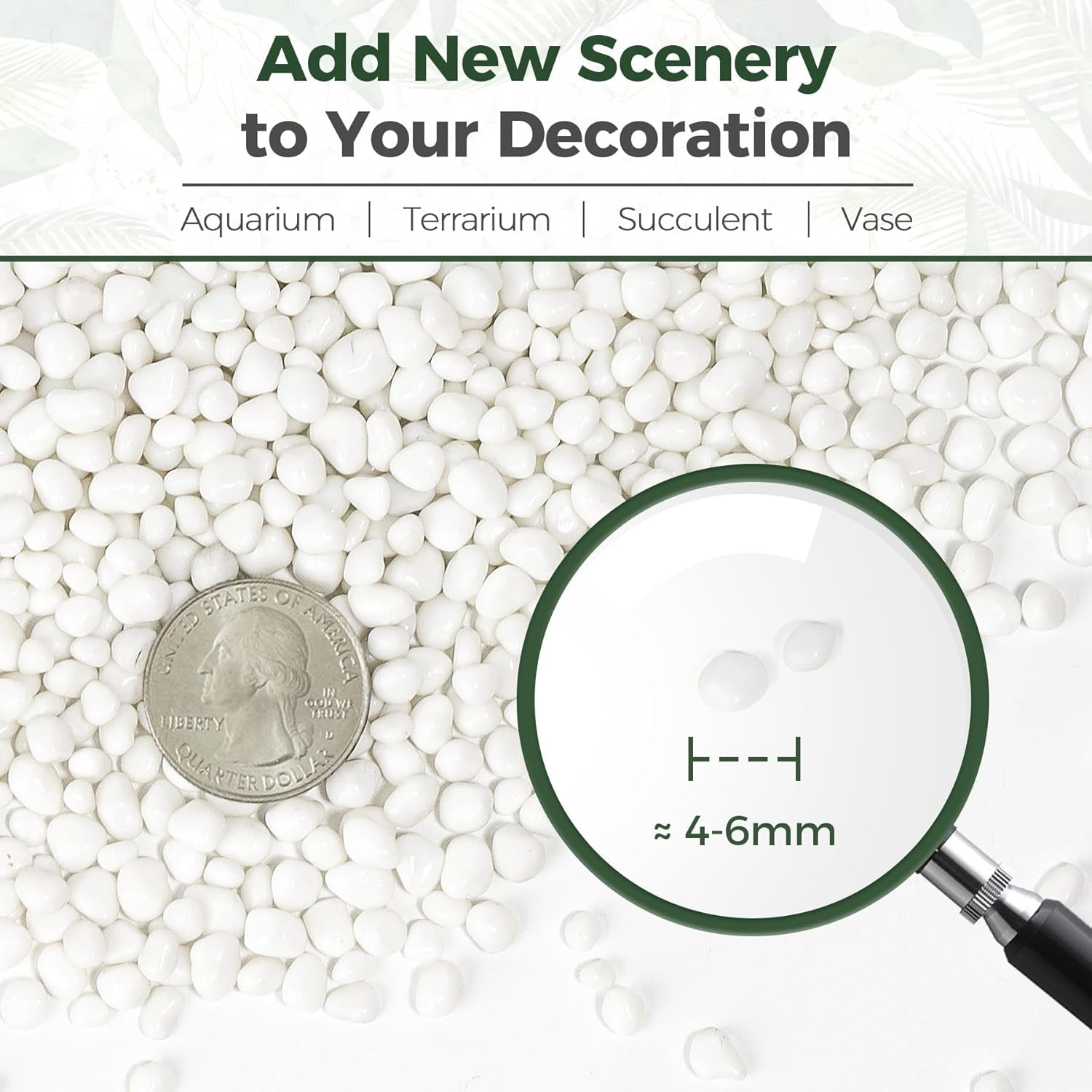 Natural Tumbled White Gravel Stones - 1 LB Irregular Shaped Pebbles for Potted Plants, Bonsai, Vases, and Aquarium Decoration