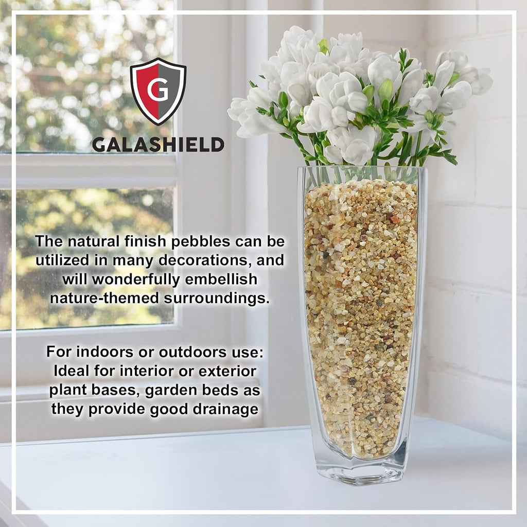 2 lbs Horticultural Succulent and Bonsai Potting Mix with Lava Rocks and Cactus Soil Amendment