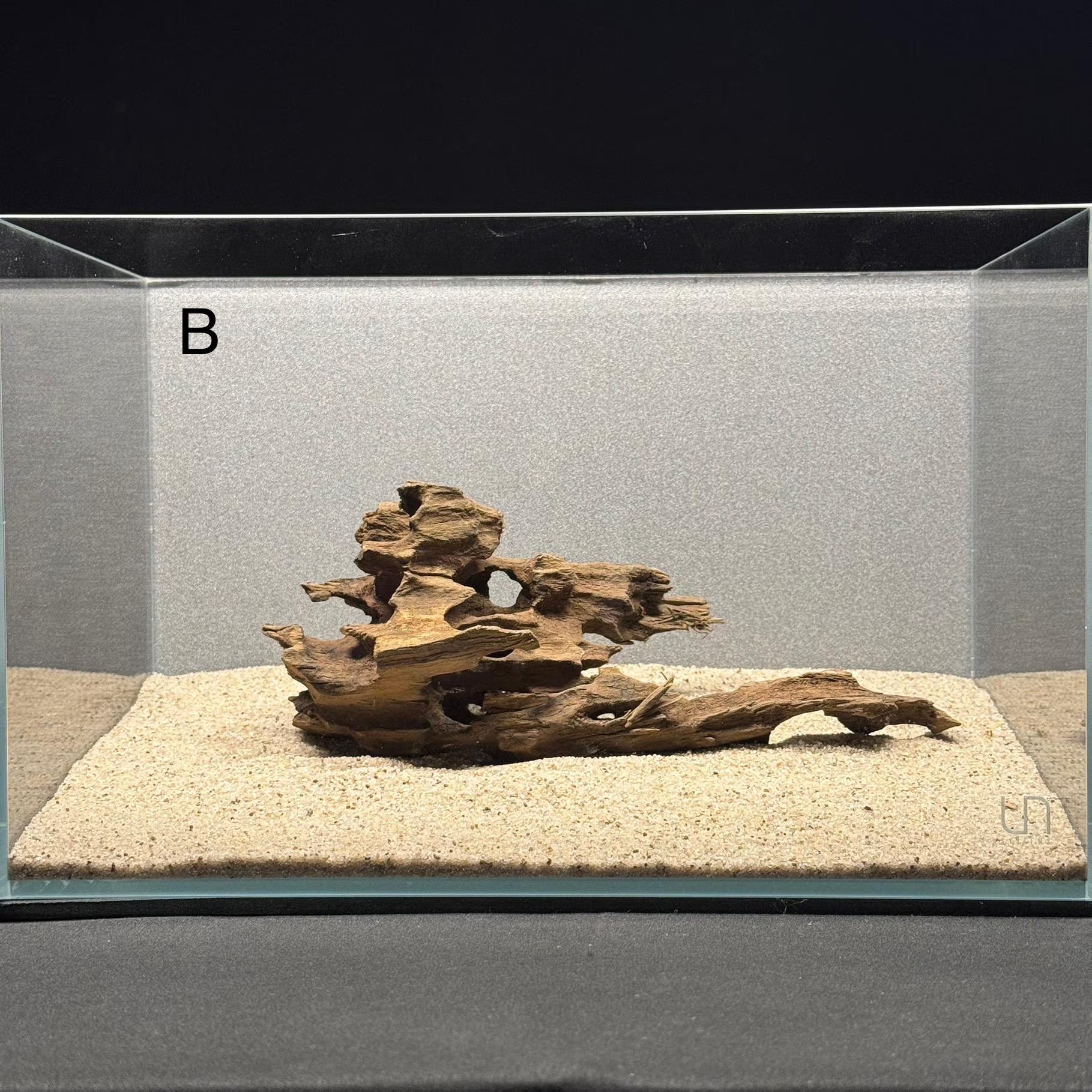 Medium Nano Dragon Driftwood | Aquarium Aquascape | Aquarium Design | Wood for Aquarium | Fish Tank | Natural Wood | Hardscape | Shrimp Wood