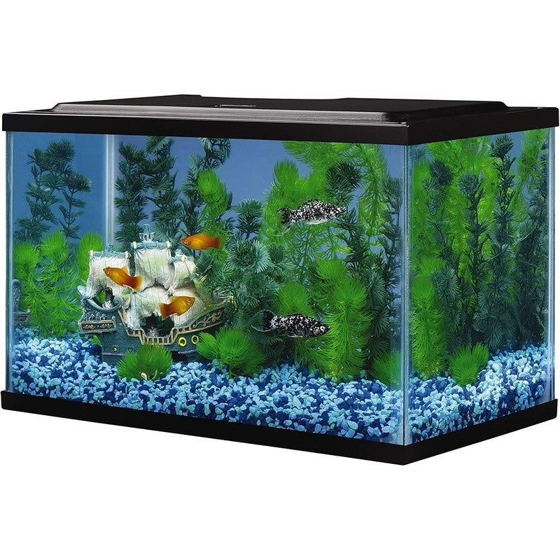 5.5 Gallon Glass Aquarium Rectangular Tank Easy Customization Fish Accessories