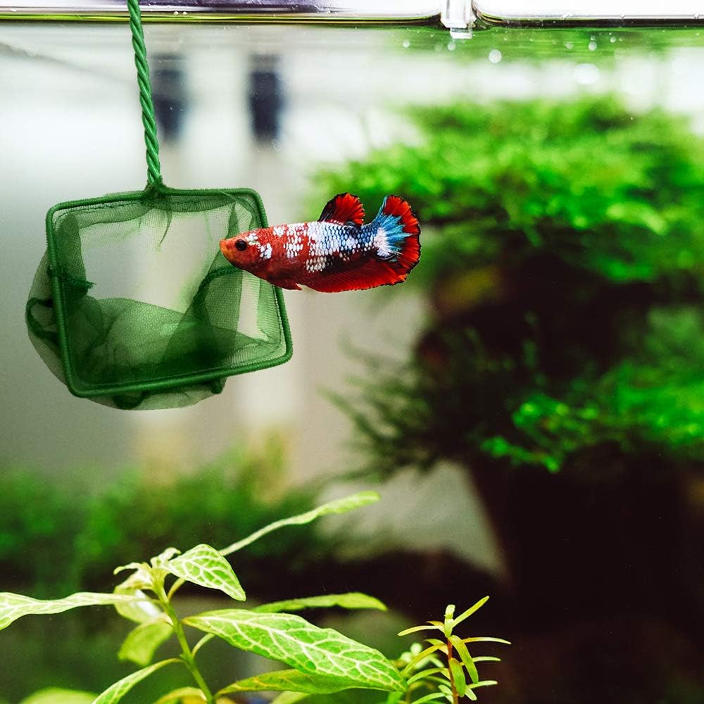 Fish Tank Cleaner/Fish Tank Accessories - Comes W/Gravel Vacuum for Aquarium, Fish Net, Magnet Brush & Algae Scraper - BPA Free Aquarium Supplies & Aquarium Cleaning Tools (3 in 1 Starter Kit)