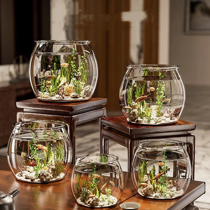 Elevate Your Home Decor with the 6L Luxury Round Plastic Fish Tank - Perfect for Goldfish and Modern Living Spaces