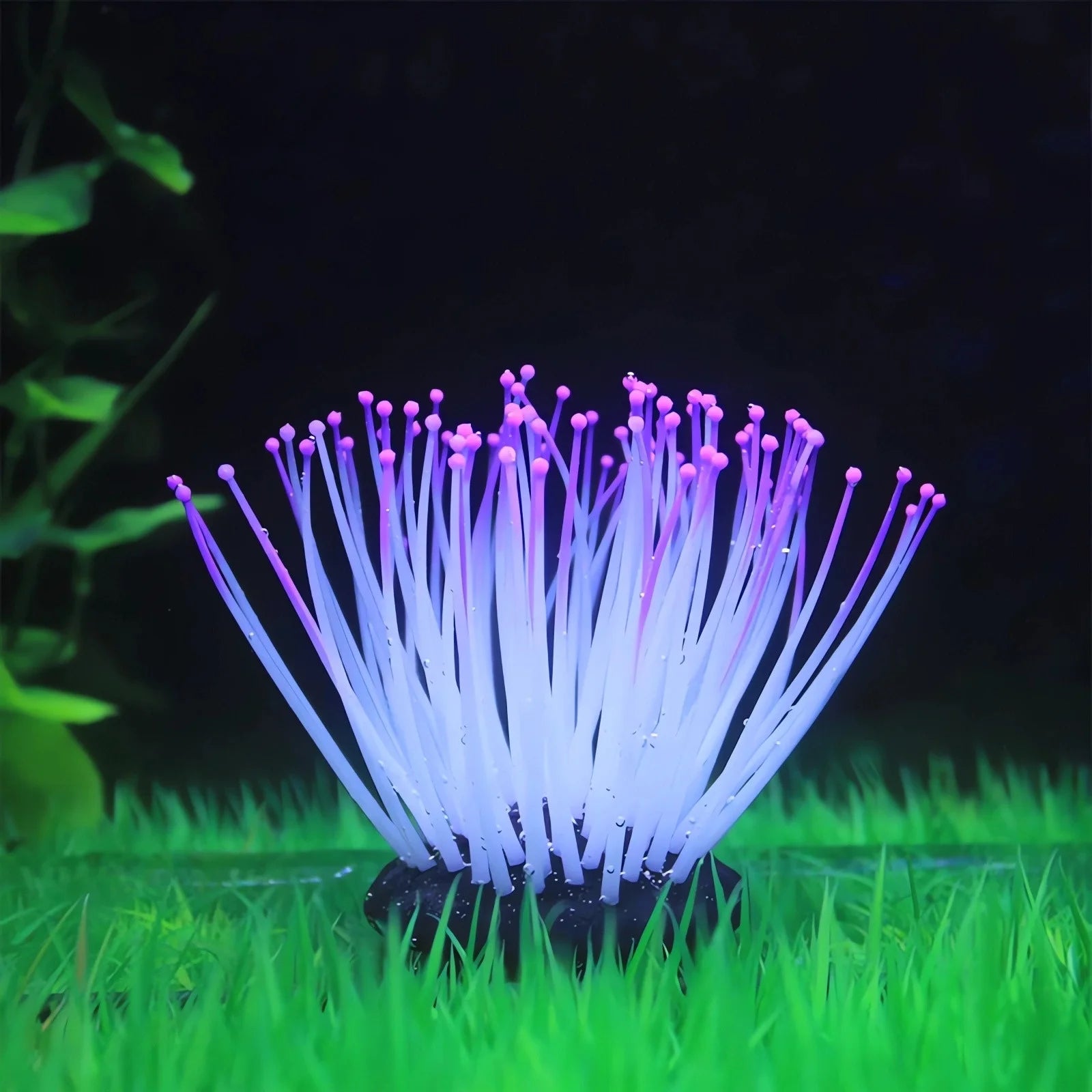 Simulation Silicone Luminous Sea Anemone Ornament Artificial Coral Plant Simulation Sea Anemone for Aquarium Fish Decoration with Suction Cup(Purple)