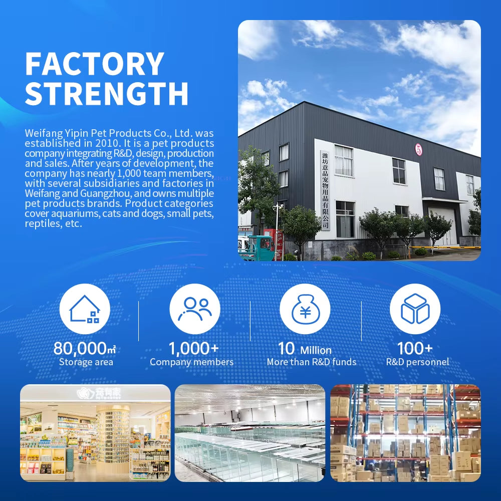 Yee Factory Wholesale 5 in 1 Low Iron Glass Aquarium Ultra White Clear Glass Curved Fish Tank 10 Gallon Small Fish Tank