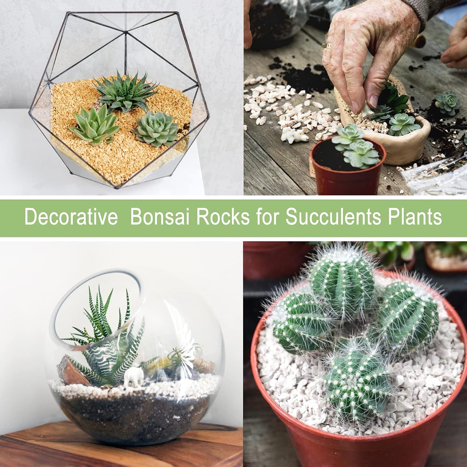 2 LBS Premium Horticultural Succulent and Bonsai Potting Mix with Lava Rocks and Cactus Soil Amendment