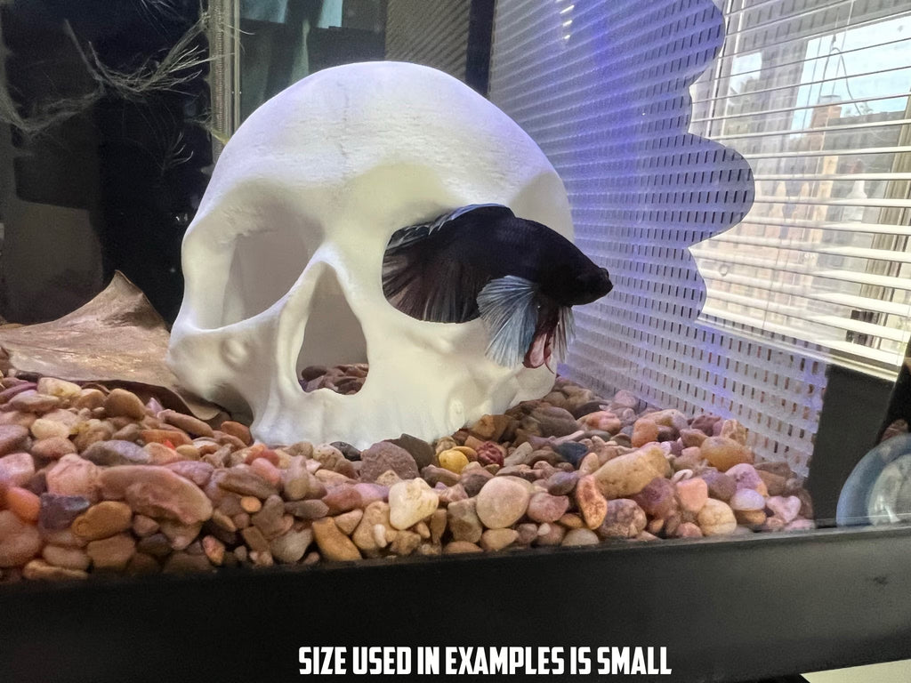 Betta Fish Skull Hide *New Sizes Available*