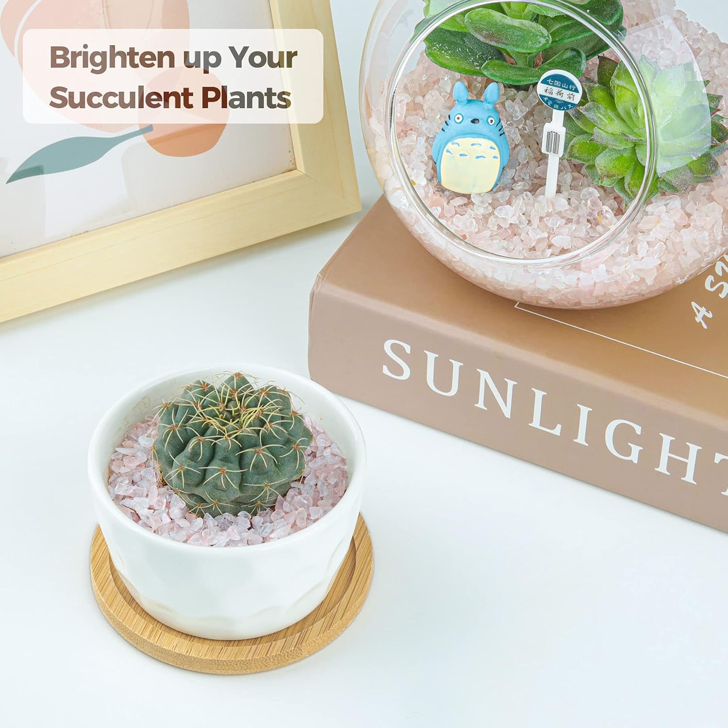 Tumbled Crystal Quartz Chips - 1 LB Irregular Shaped Healing Stones for Potted Plants, Resin Art, Vase Fillers, and Aquarium Gravel (Light Rose)