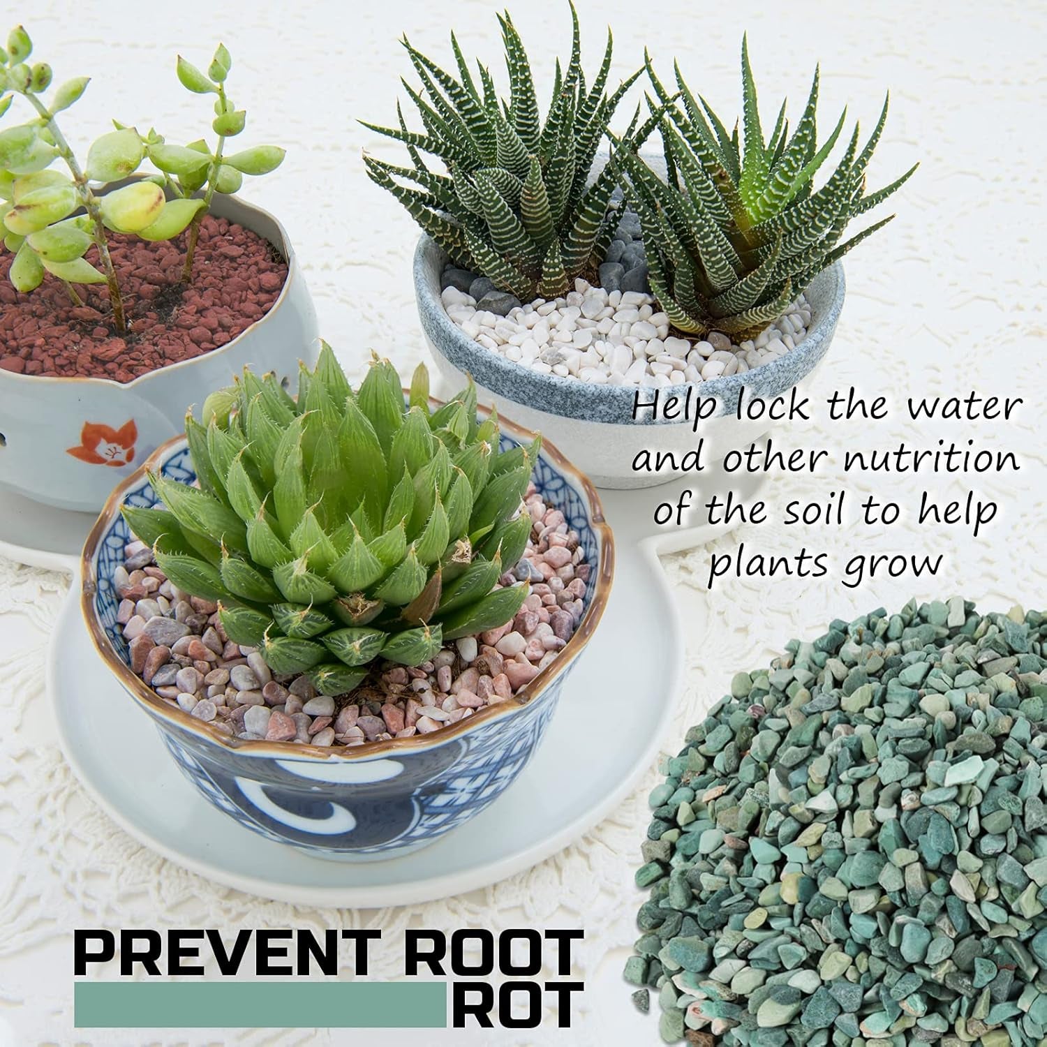 2 LBS Premium Horticultural Succulent and Bonsai Potting Mix with Lava Rocks and Cactus Soil Amendment