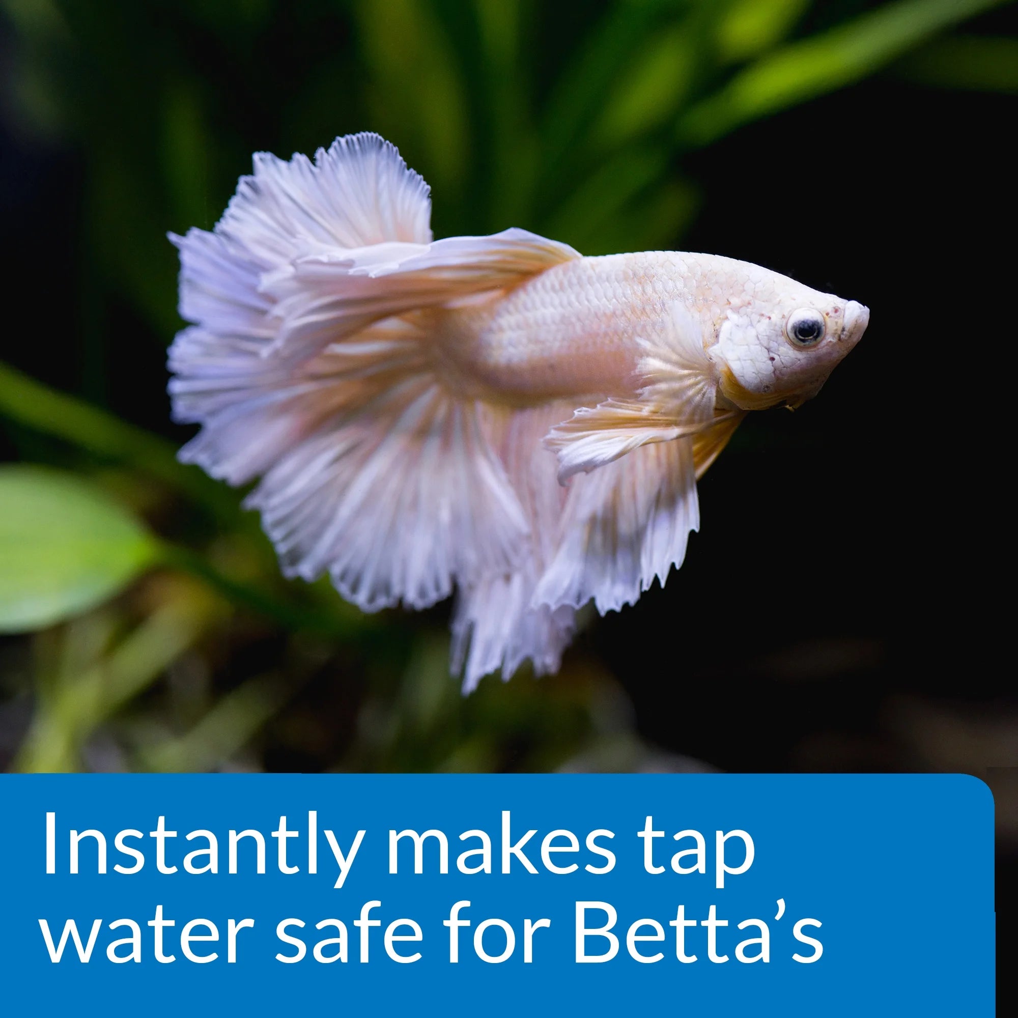 Betta Water Conditioner, Betta Fish Freshwater Aquarium Water Conditioner, 1.7-Ounce