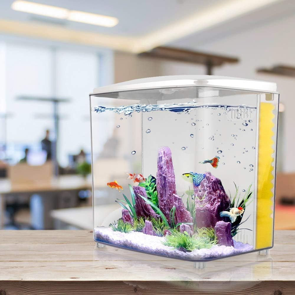 1.2-Gallon Betta Aquarium Starter Kit with LED Lighting and Filter Pump