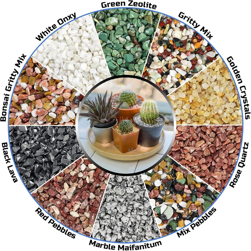 2 LBS Premium Horticultural Succulent and Bonsai Potting Mix with Lava Rocks and Cactus Soil Amendment