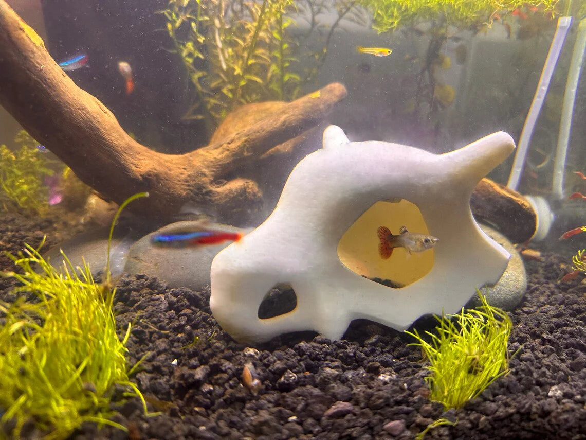 Cubone Pokémon Skull for Aquariums - Fish Hideaway- Freshwater and Saltwater Safe!