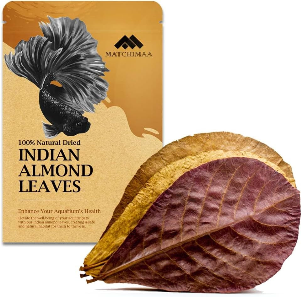 Premium Indian Almond Leaves - Catappa Leaves for Aquatic Health and pH Balance in Aquariums. 50g Pack (6-9" Size, 20-25 Leaves)