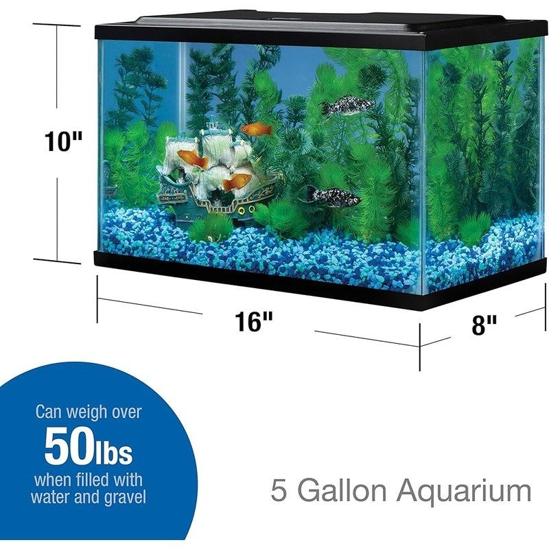 5.5 Gallon Glass Aquarium Rectangular Tank Easy Customization Fish Accessories
