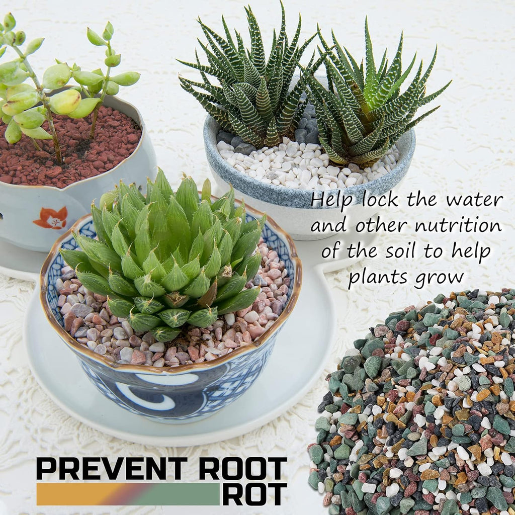 2 Pounds Horticultural Succulent and Cactus Potting Mix with Lava Rocks and Bonsai Soil Amendment