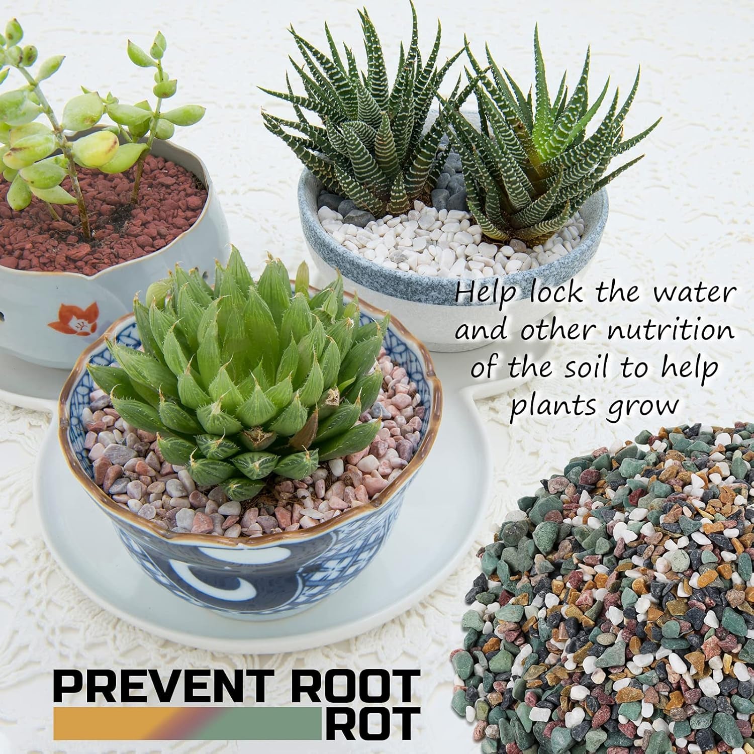 2 Pounds Horticultural Succulent and Cactus Potting Mix with Lava Rocks and Bonsai Soil Amendment