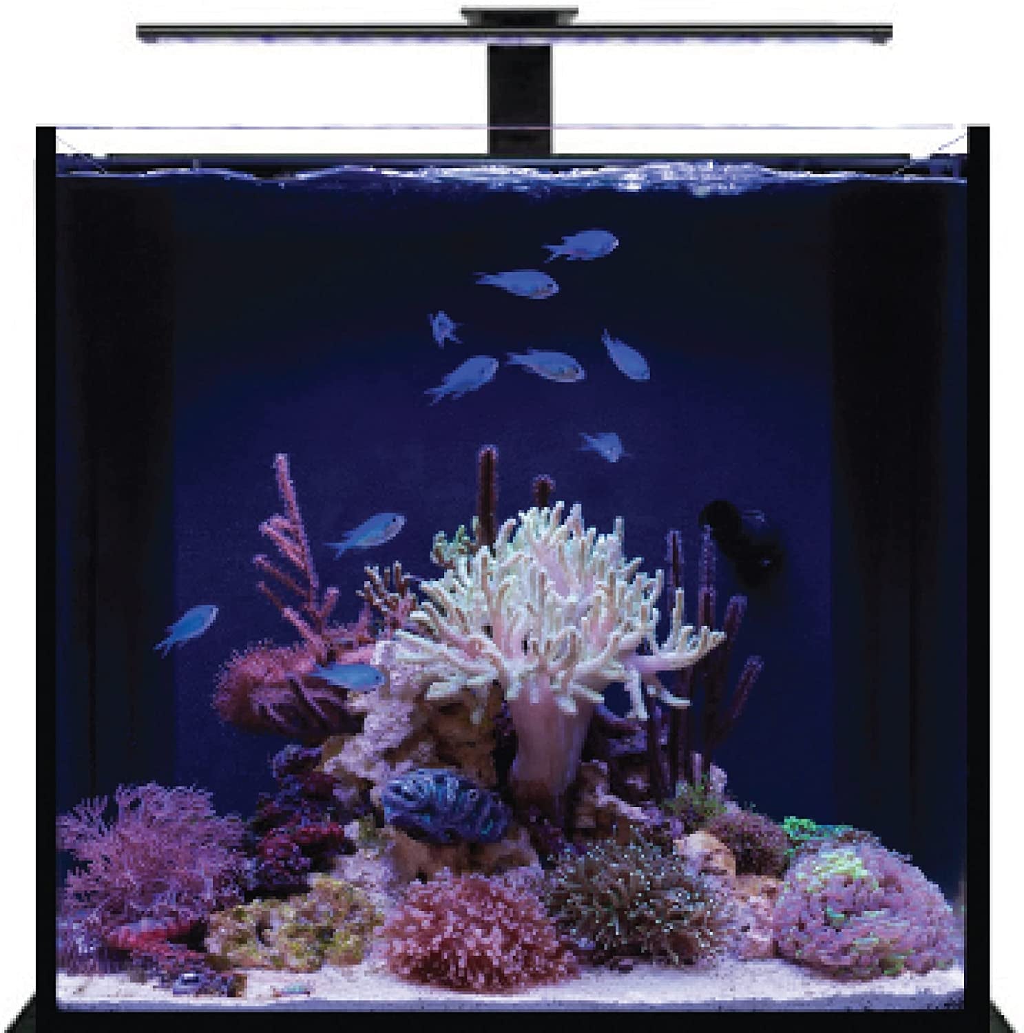 USA Orbit LED Adjustable Tank Mount Bracket (Model 4193) with Aluminum Arm