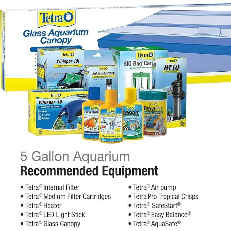 5.5 Gallon Glass Aquarium Rectangular Tank Easy Customization Fish Accessories