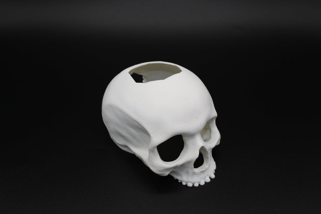 Betta Fish Skull Hide *New Sizes Available*