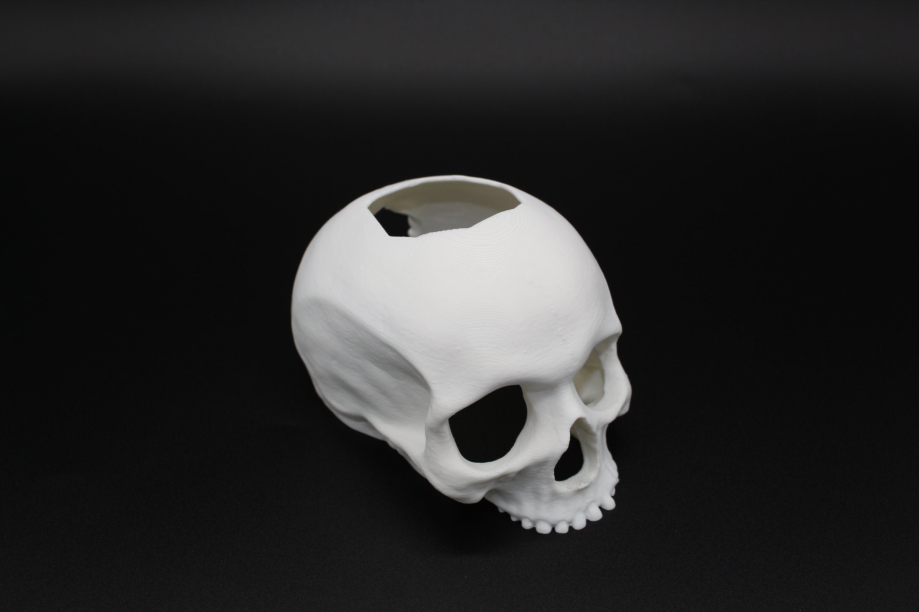 Betta Fish Skull Hide *New Sizes Available*