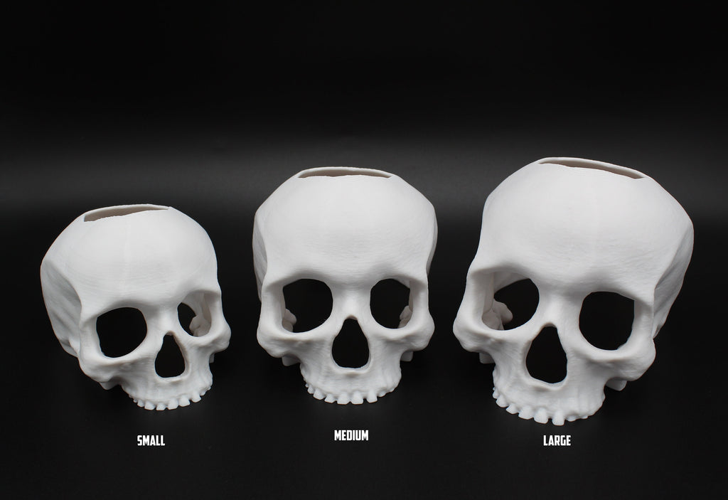 Betta Fish Skull Hide *New Sizes Available*