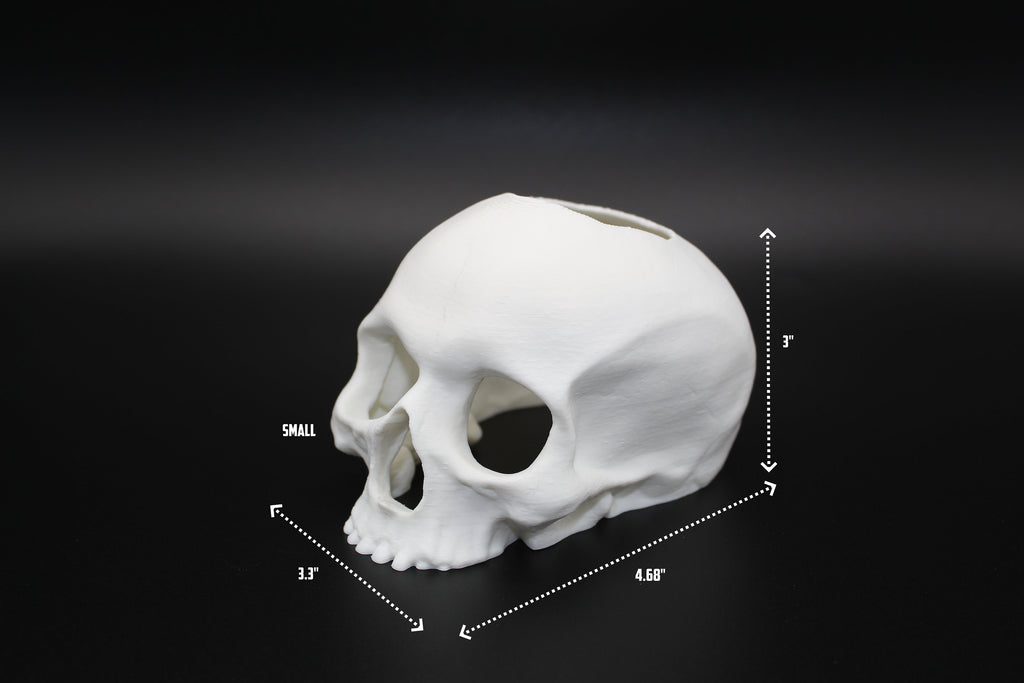 Betta Fish Skull Hide *New Sizes Available*