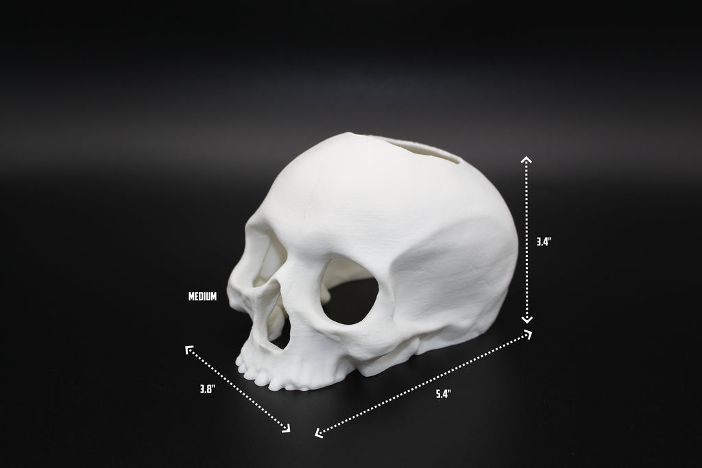 Betta Fish Skull Hide *New Sizes Available*