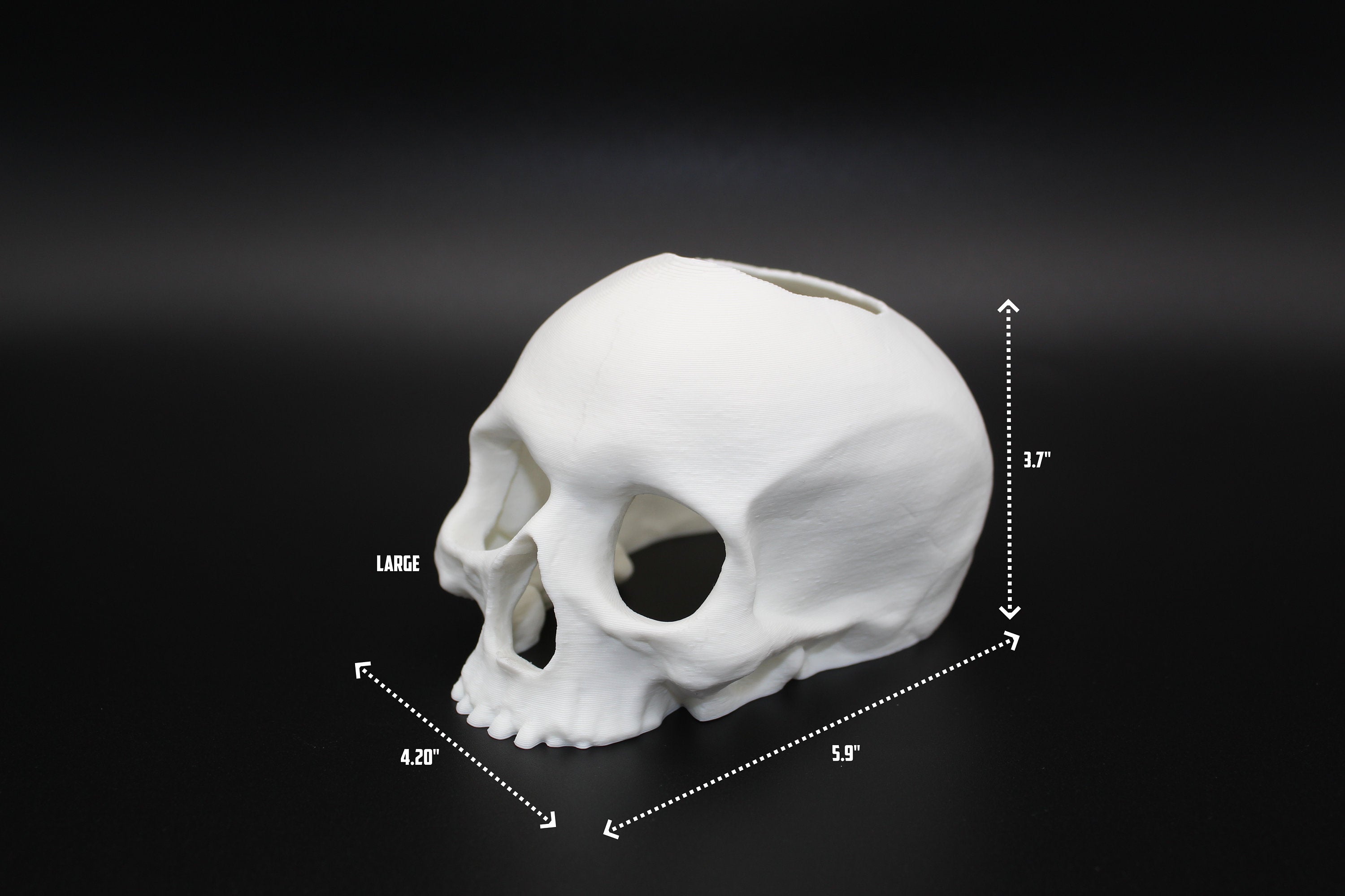 Betta Fish Skull Hide *New Sizes Available*