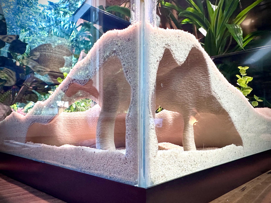 Corner Mangrove Root Hideout – Aquarium & Terrarium Decor