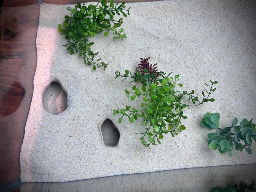 Corner Mangrove Root Hideout – Aquarium & Terrarium Decor