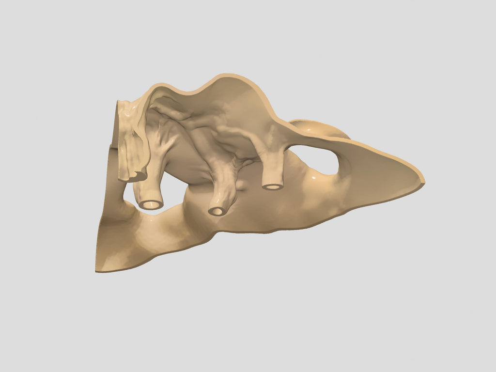 Corner Mangrove Root Hideout – Aquarium & Terrarium Decor