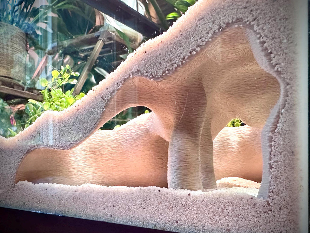 Corner Mangrove Root Hideout – Aquarium & Terrarium Decor