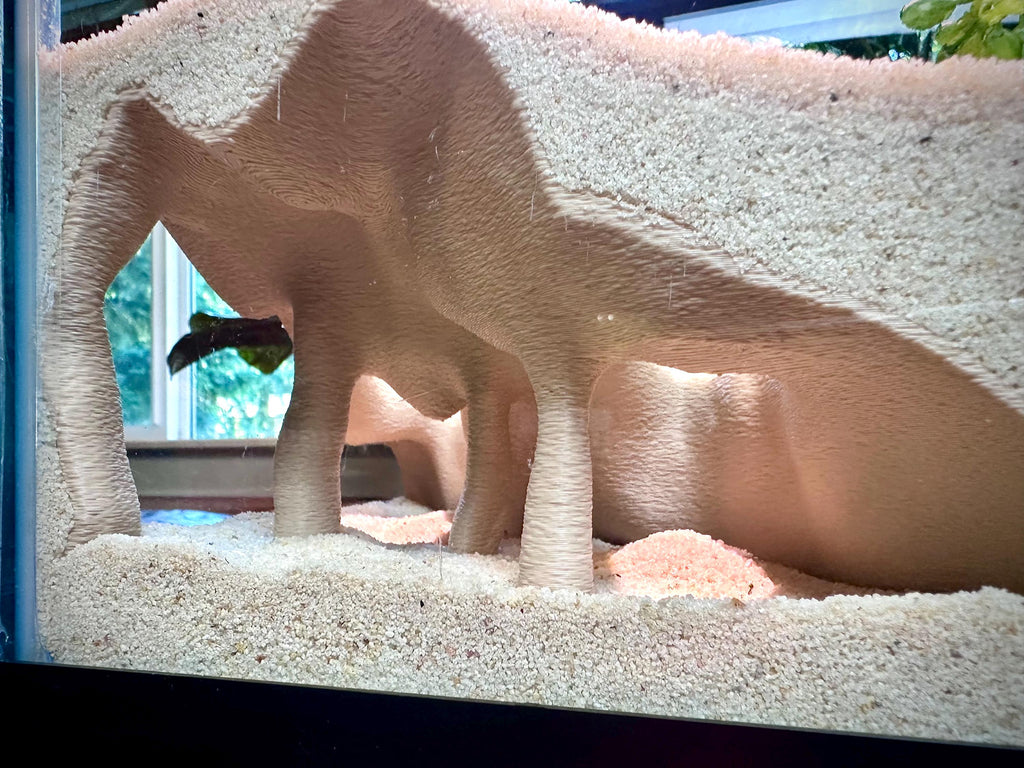 Corner Mangrove Root Hideout – Aquarium & Terrarium Decor