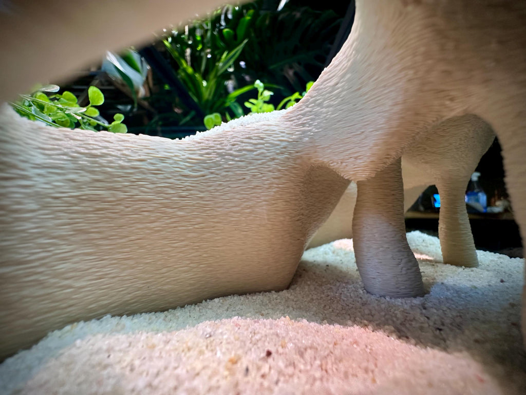 Corner Mangrove Root Hideout – Aquarium & Terrarium Decor