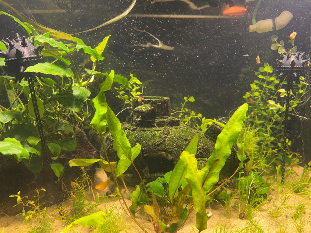 Floating Naval Mine Aquarium Decor with Chain Fish Tank Ornament